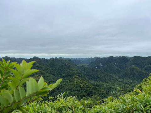 Cai Beo Floating Village