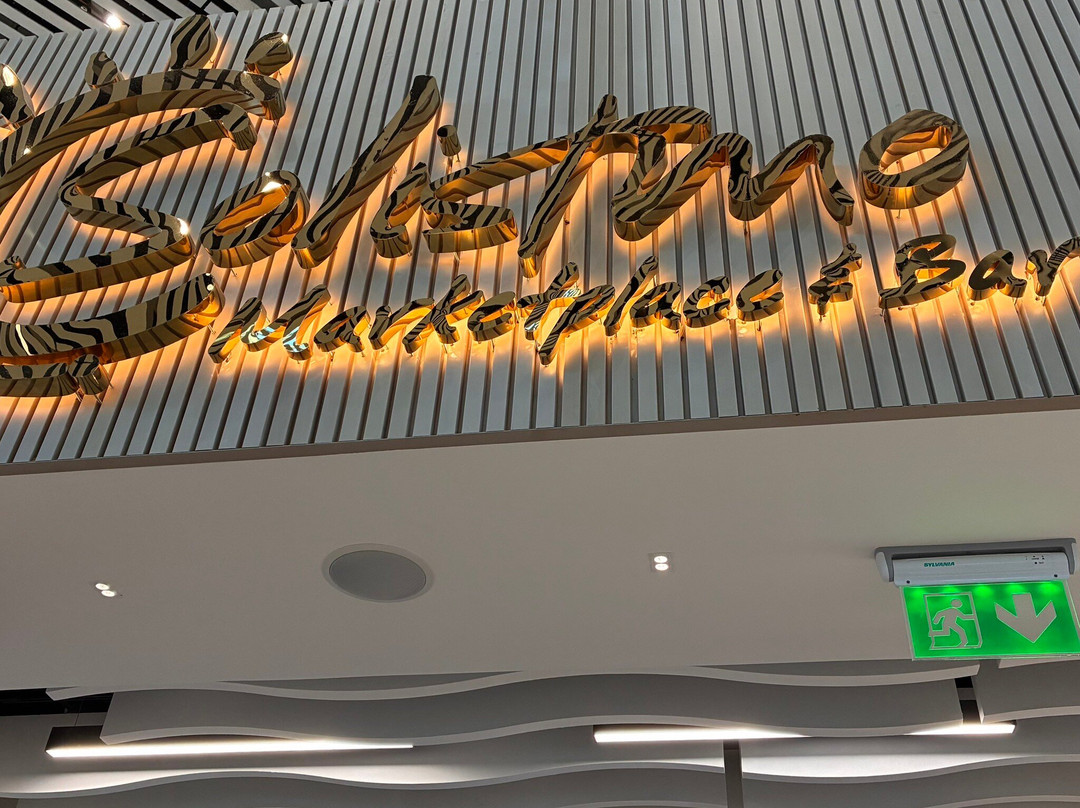 Solistmo - Tocument International Airport