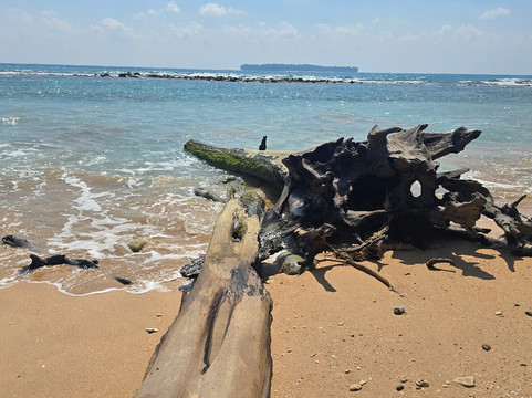 Sitapur Beach-Neil Island必去景点
