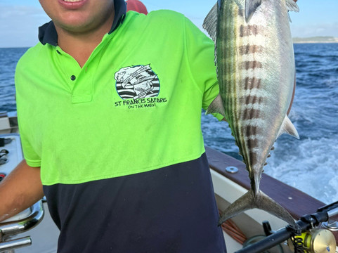 St Francis Safaris-Port St Francis必去景点