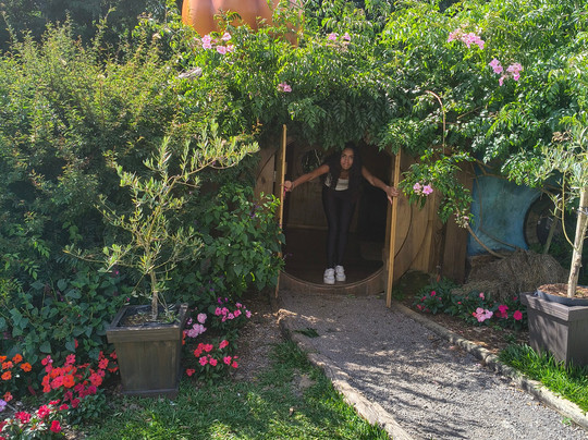 Parque Olivas de Gramado-格拉玛多必去景点