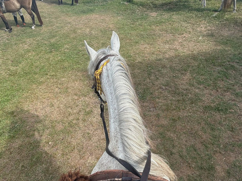 Cabalgatas Valiceras-Valizas必去景点