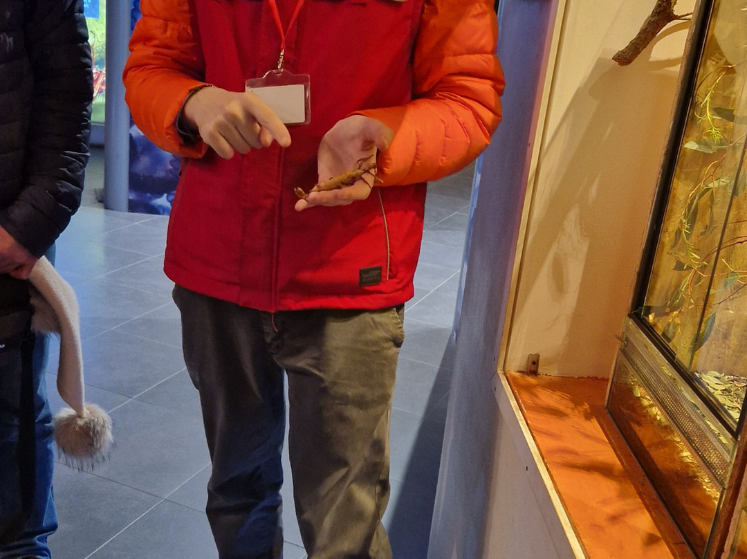 Citta Della Scienza-那不勒斯必去景点