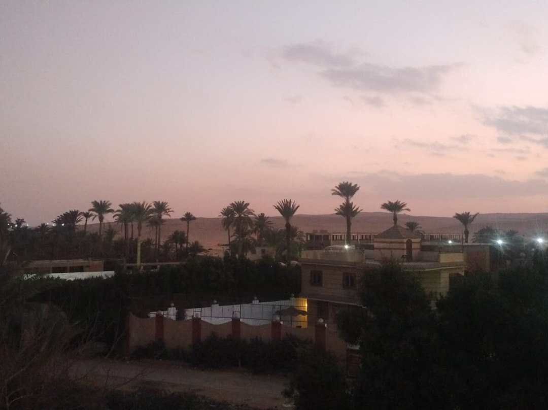 纳赛尔阿布高尼姆宾馆主图