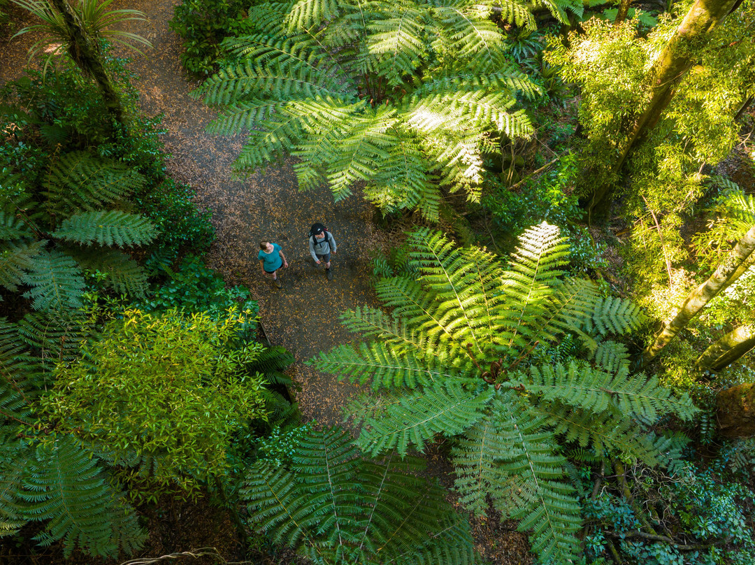 Sanctuary Mountain Maungatautari-Pukeatua必去景点