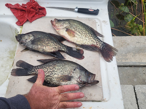 Okeechobee Bass Guide Service-奥基乔比必去景点