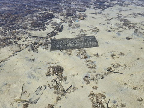 Isla Iguana-La Villa de los Santos必去景点