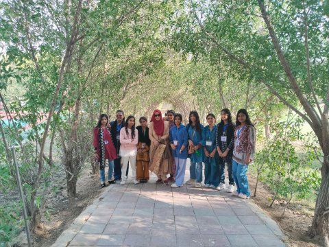 梦幻度假胜地，酒店及高尔夫球场-官方