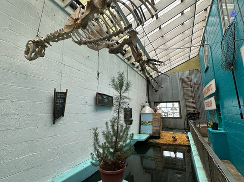 Westport Aquarium-Westport必去景点