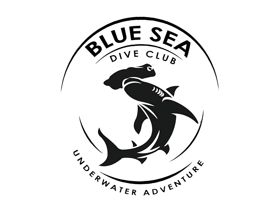 Blue Sea Dive Club