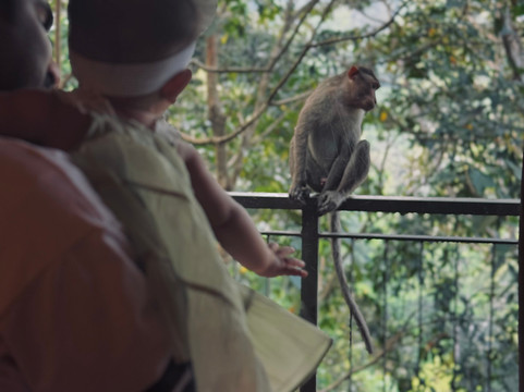 Chembarathi Wayanad主图