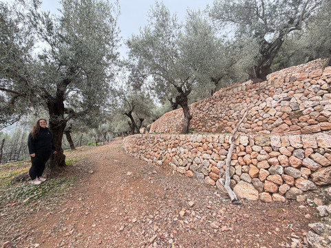 Es Seregalls-Fornalutx必去景点