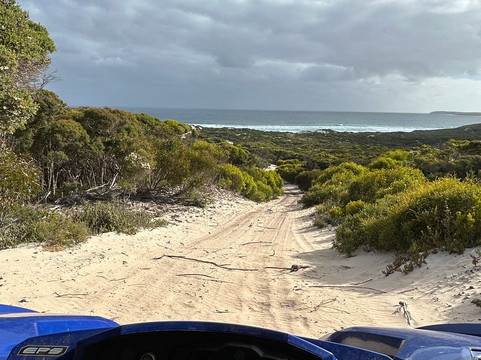 Little Sahara-袋鼠岛必去景点