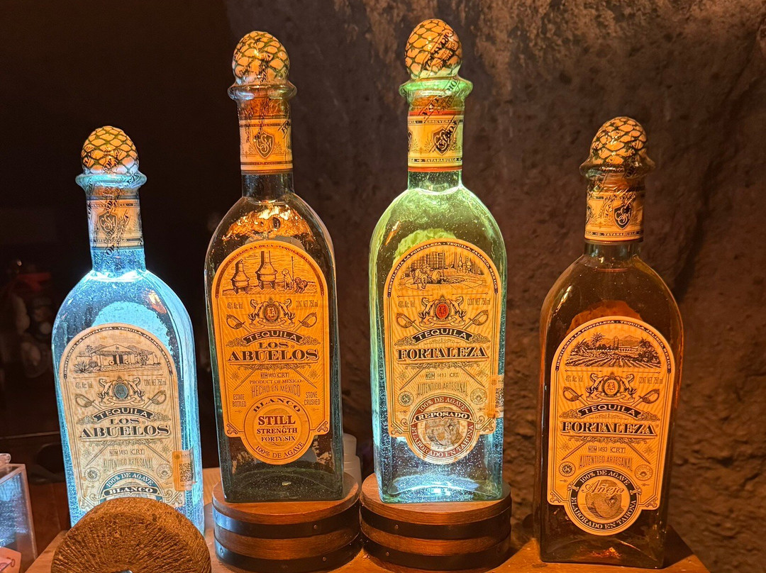 Experience Agave-特基拉必去景点