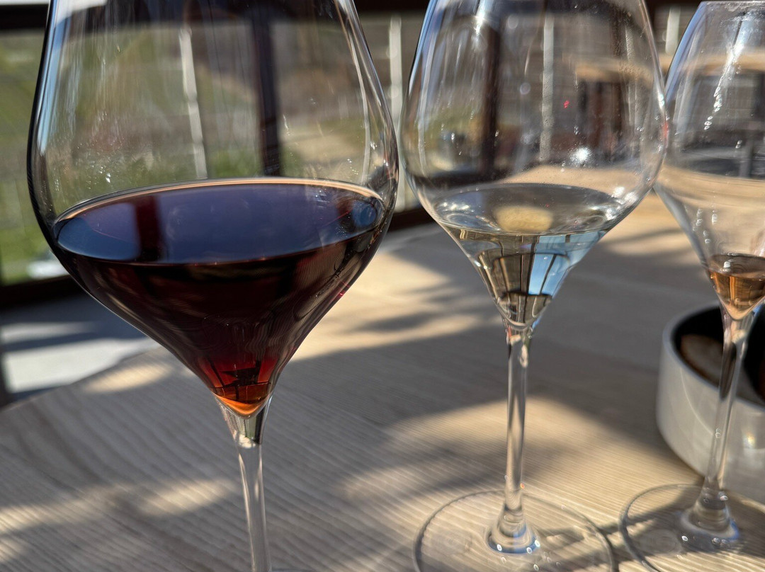 Azienda Vitivinicola e Agriturismo Enrico Crola-Mezzomerico必去景点