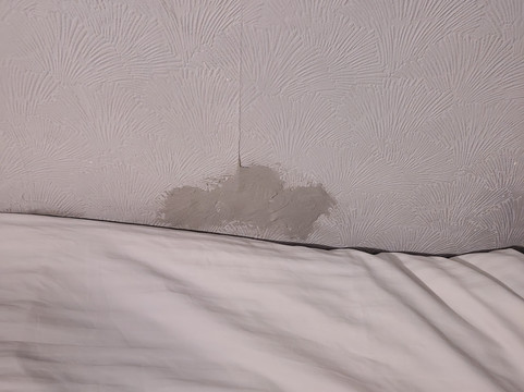 Rooms by Maes y Mor Town Centre主图