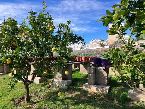 Centre d'Interpretacio De La Malvasia-锡切斯必去景点