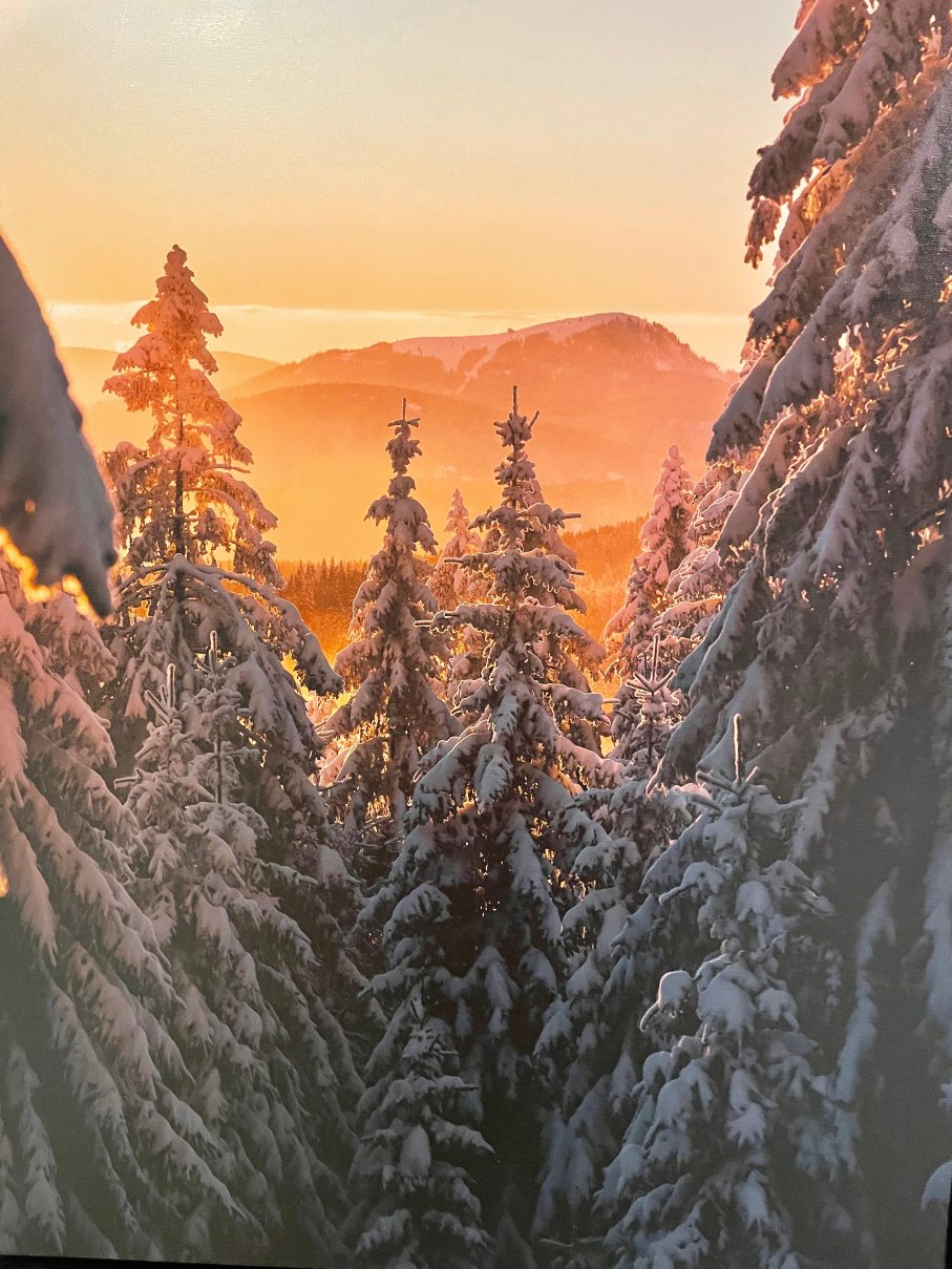 Belchenhotel Jaegerstueble-浴室