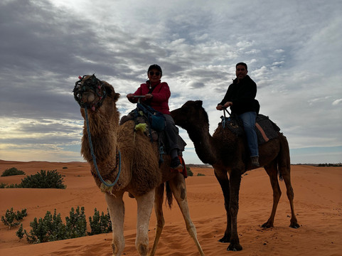 Conocer Marruecos-马拉喀什必去景点