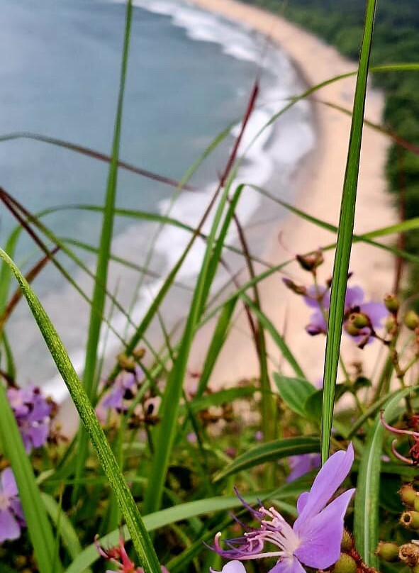 Terra Das Tribos Ecoturismo-乌巴图巴必去景点