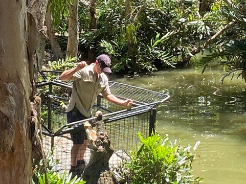 Hartley's Crocodile Adventures-Wangetti必去景点