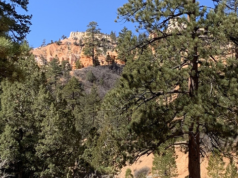 Mossy Cave Trail-布莱斯峡谷国家公园必去景点