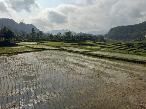 迈乔温泉度假村主图