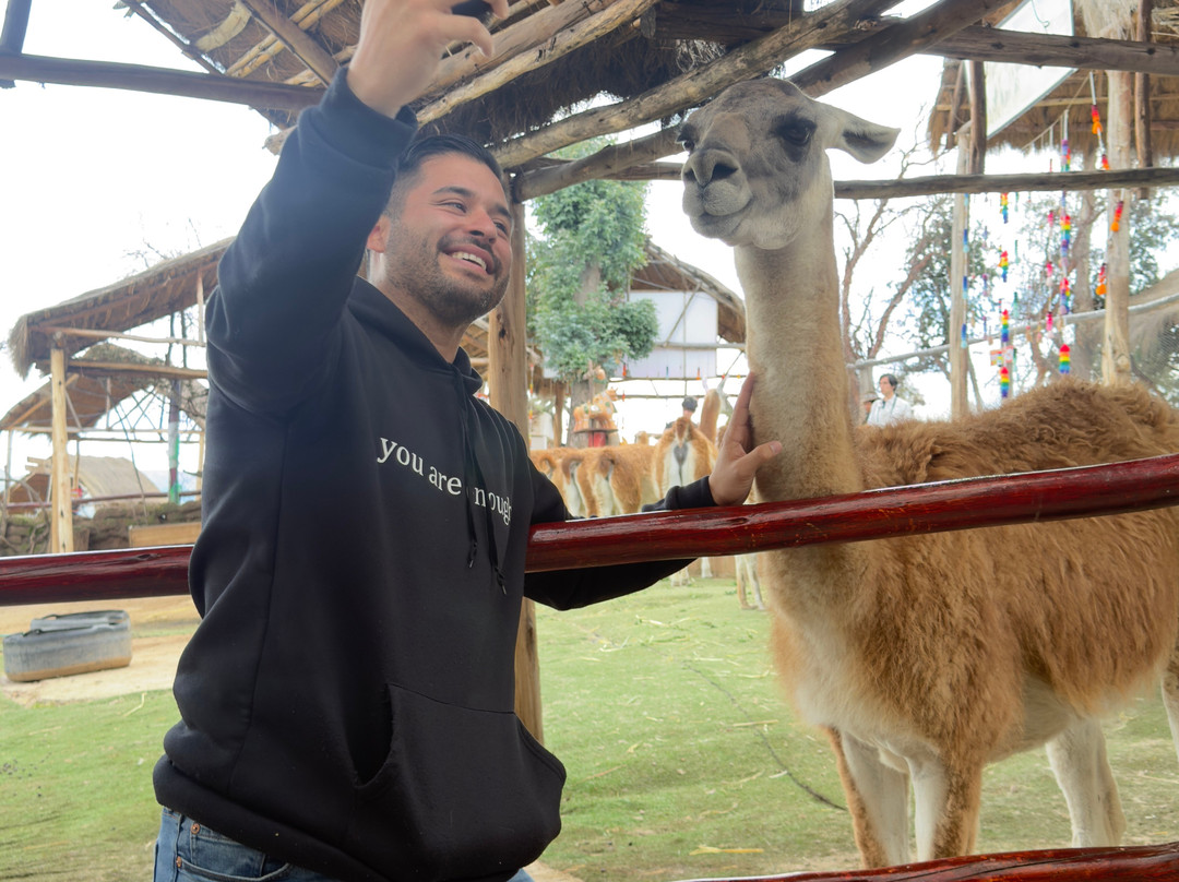 Taxi Tours D'marc-库斯科必去景点