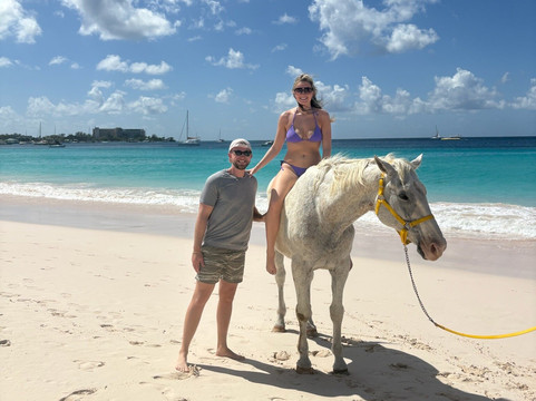 Sunflower Stables Barbados-Mangrove必去景点
