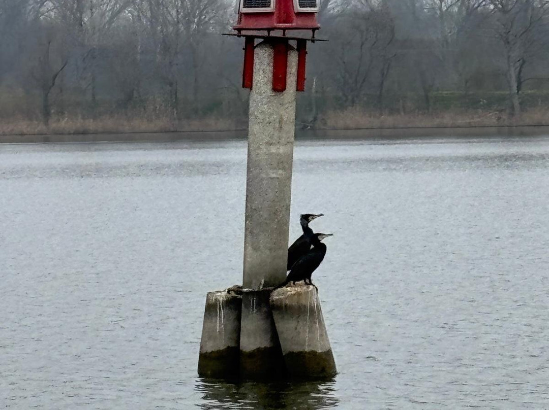 Motonavi Andes Negrini Day Tours-曼托瓦必去景点