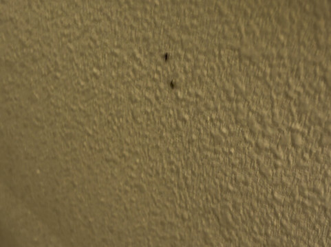 老酒厂酒店主图