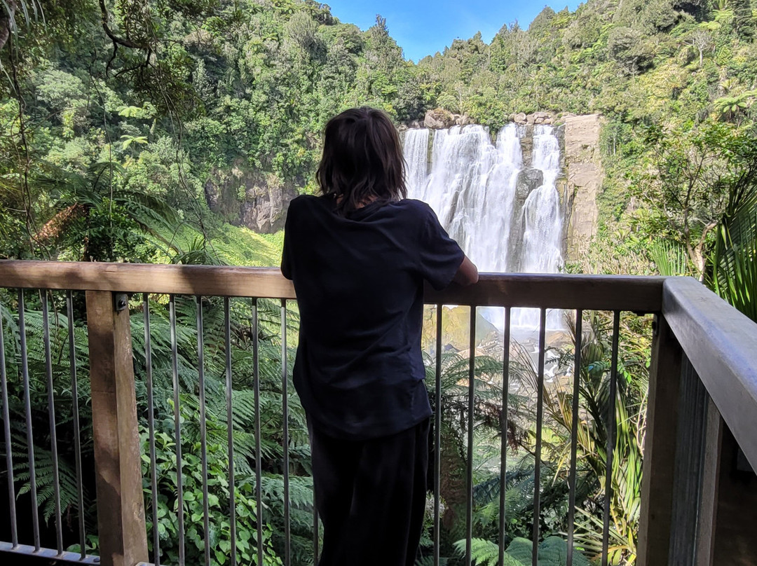 棕榈阁汽车旅馆主图