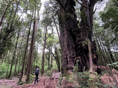 Huillín 小屋主图
