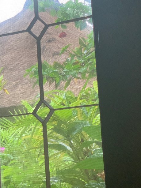 巴厘岛波比斯酒店-官方