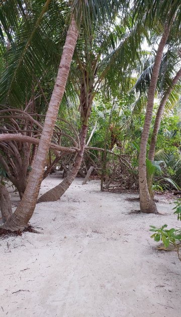 艾布度乡村度假村-浴室