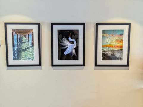 Alan S. Maltz Gallery-基韦斯特必去景点