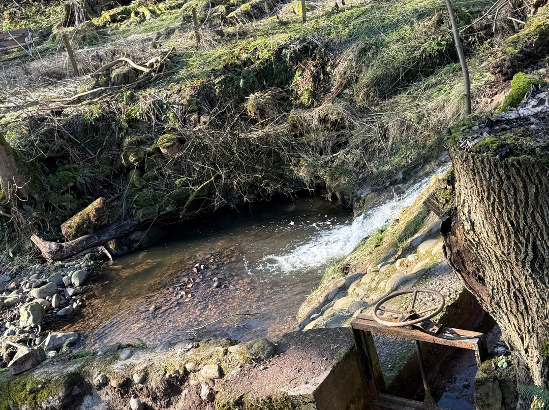 Mill Of Benholm-Johnshaven必去景点