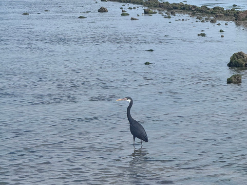 Narara Marine National Park-Devbhumi Dwarka District必去景点