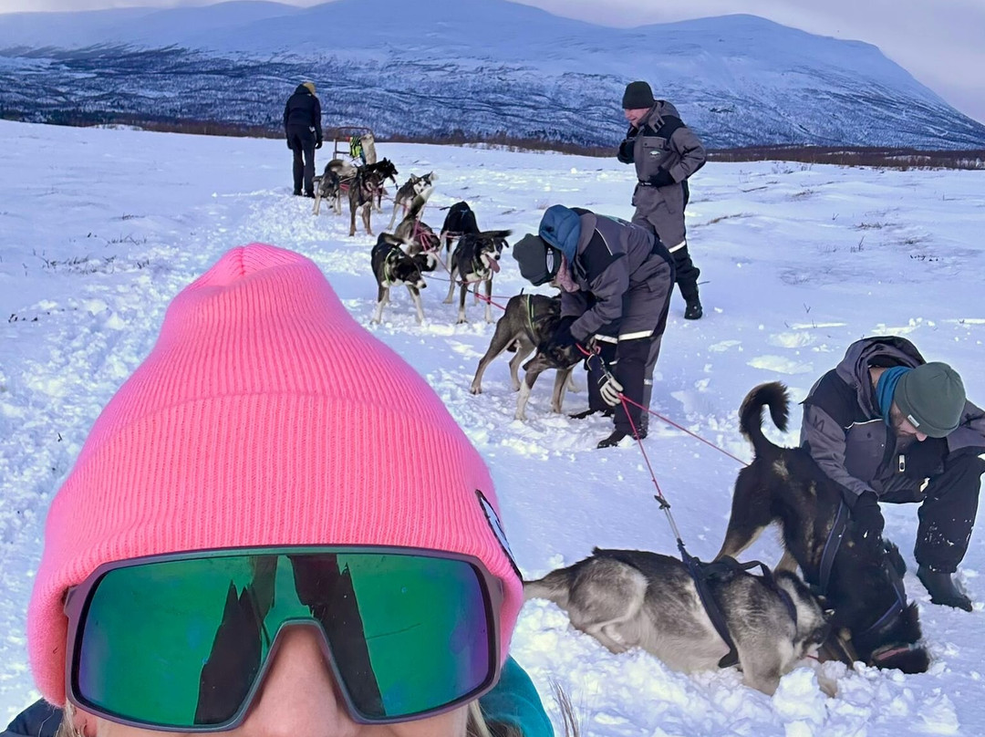 拉普兰极光之旅-阿比斯库必去景点