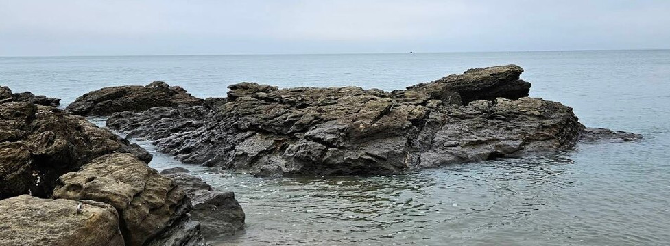 Rocher Du Crocodile-波尔尼克必去景点