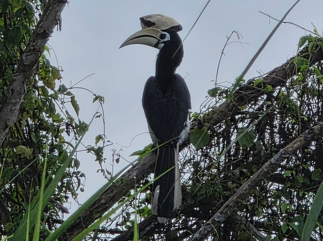 Osman's Homestay主图