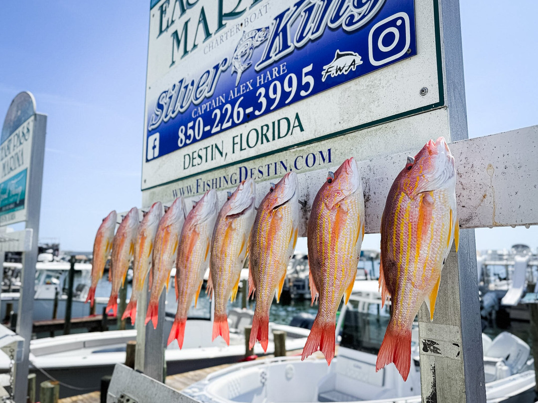 Silver King Charters of Destin-Sandestin必去景点