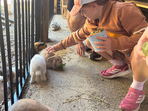 Scoops Farm-玛格丽特河必去景点