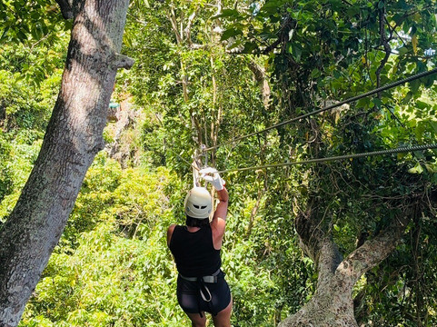 Zip Fiji-Momi必去景点