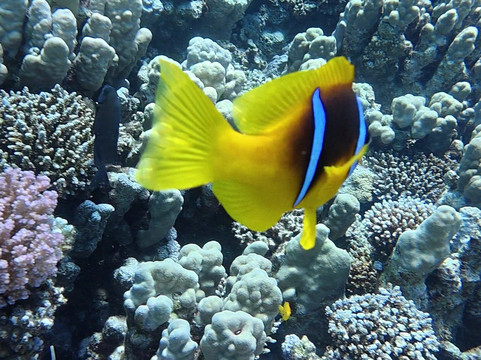 Egypt International-赫尔格达必去景点