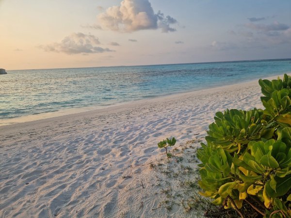 马尔代夫美禄岛度假村-泳池