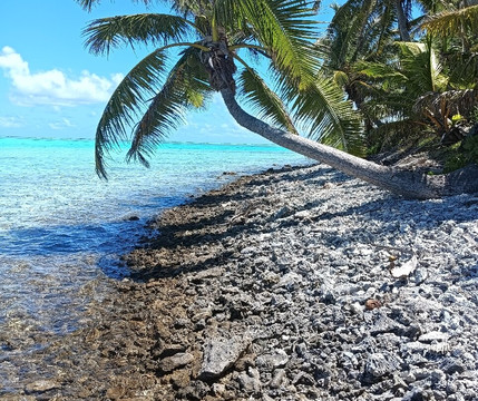 The Vaka Cruise-艾图塔基必去景点