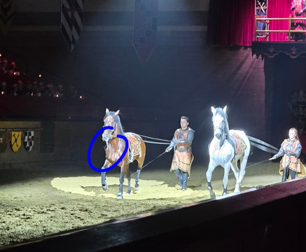 Medieval Times Dinner & Tournament-斯科茨代尔必去景点