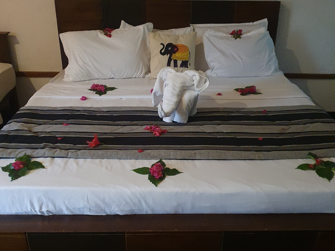 Hela Gedara Retreat Beruwala主图