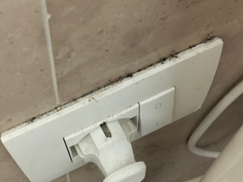 圣比亚乔套房和公寓主图